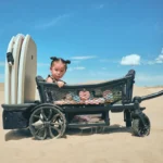 Wózek transportowy Veer Cruiser - Image 2